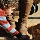 NIÑO CON GATO