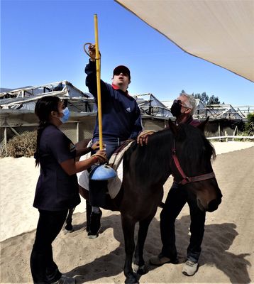 Niño especial en su sesión de hipoterpaia