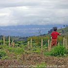 Niño, montaña, ciudad.