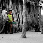 niño wayuu