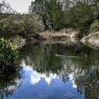 niño y barco