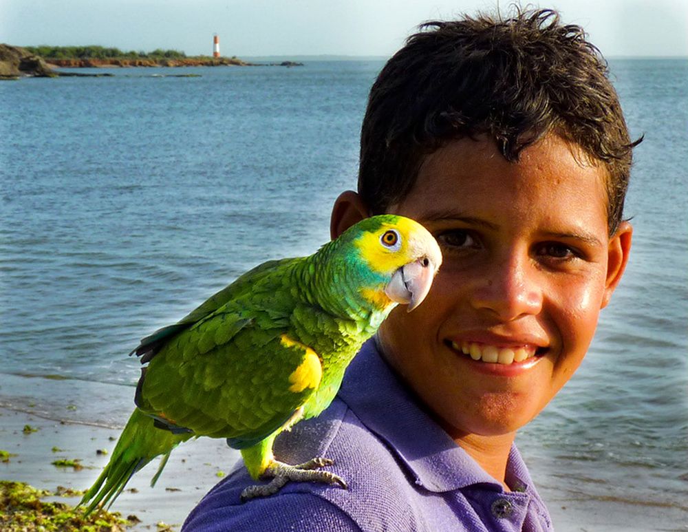 NIÑO Y SU LORO - TACUANTAR de Patricia Mraffko 