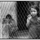 Niños de Barriadas Caracas Venezuela