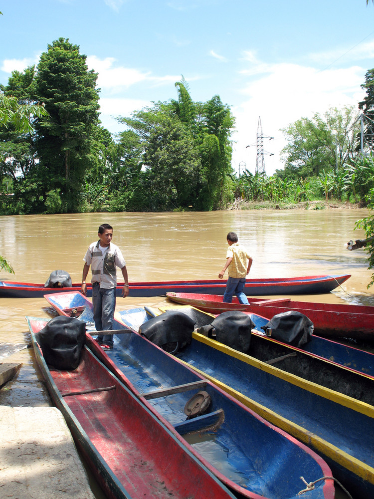 NIÑOS DE CAMPO DOS (EL CATATUMBO)