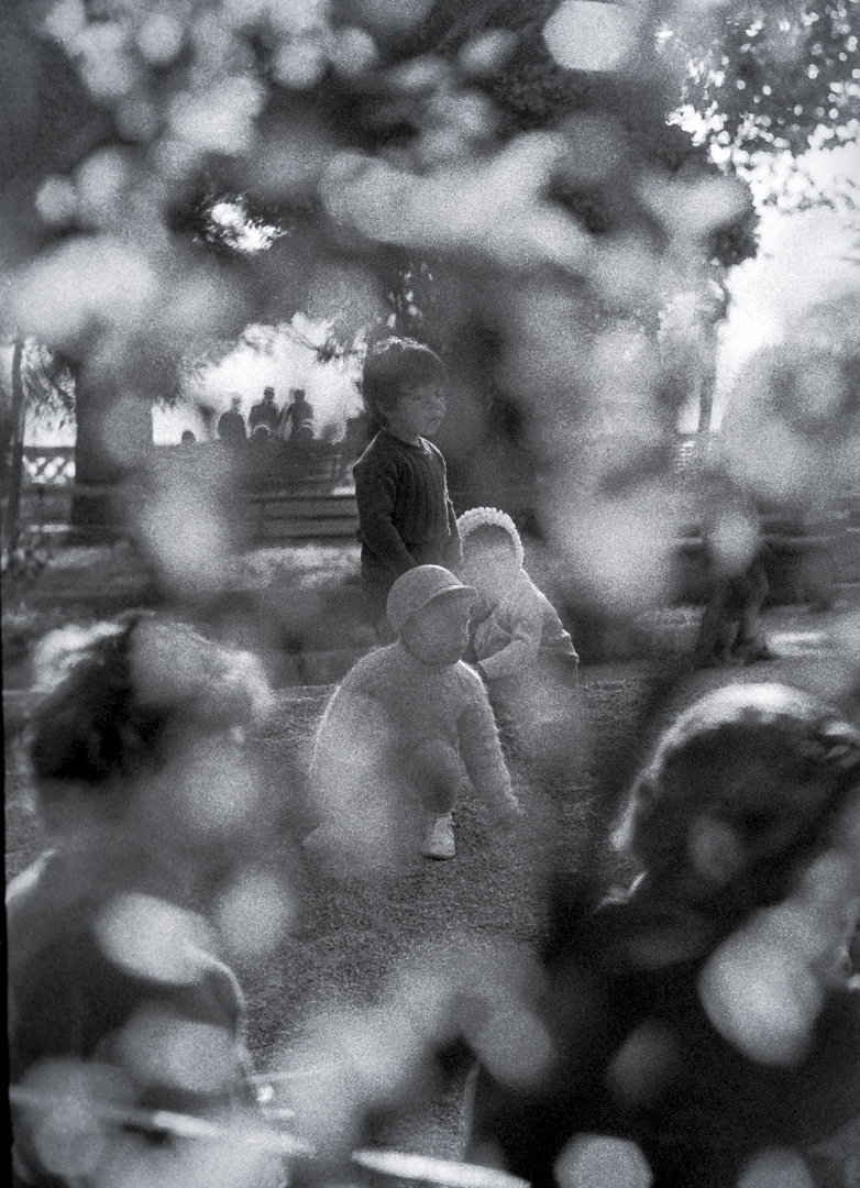 NIÑOS EN EL PARQUE