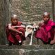 Nios monjes de Birmania