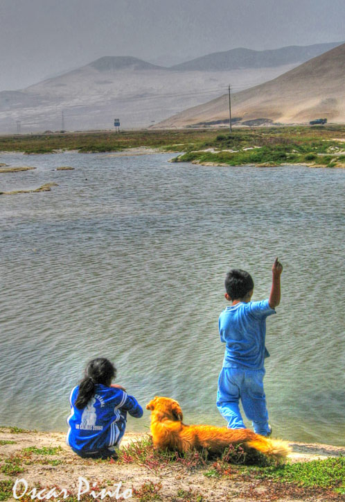 Niños pescando