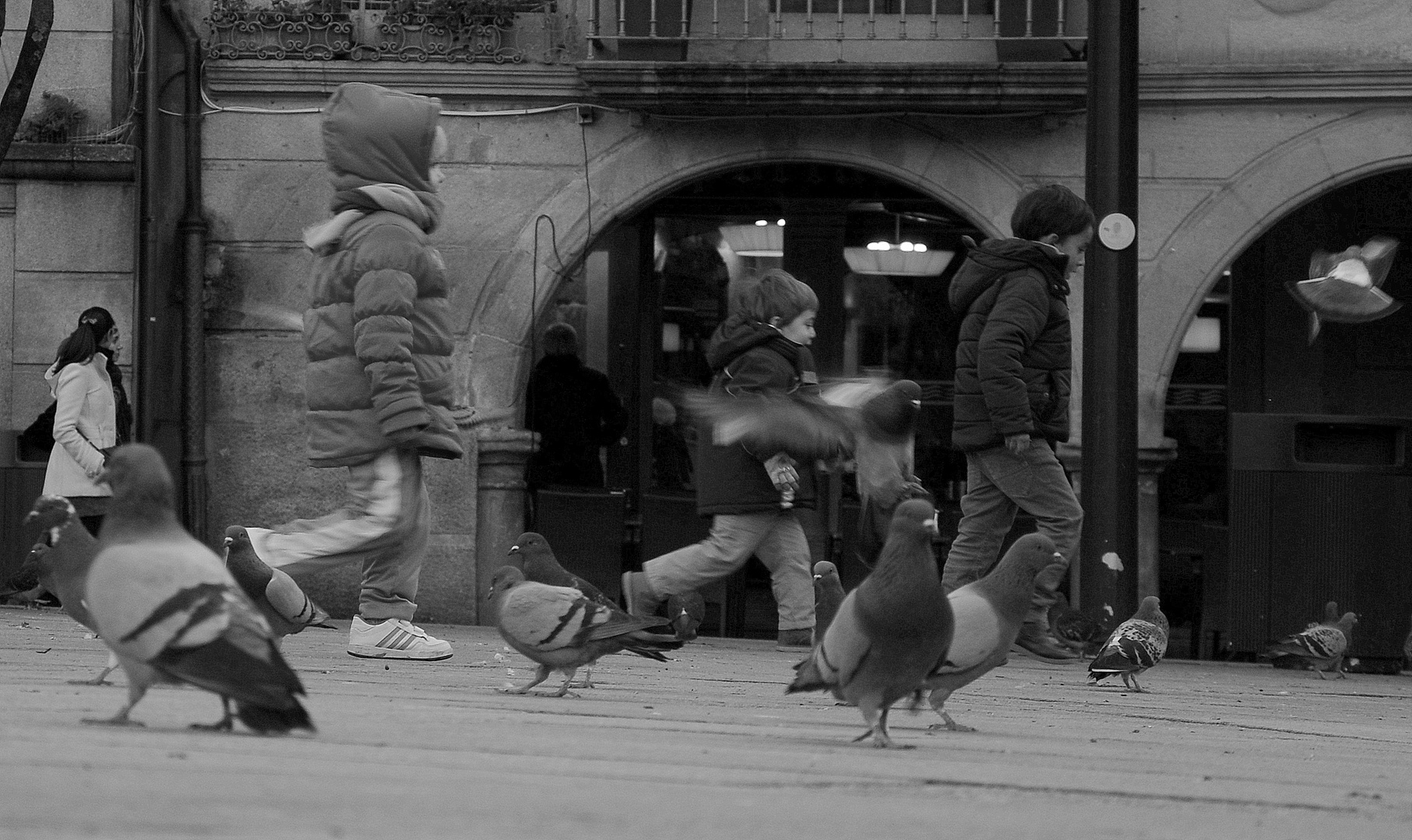 niños y palomas