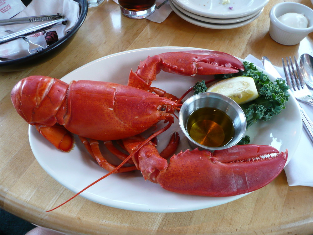 Nirgendswo auf der Welt schmecken Lobster besser als im US-Staat Maine (??).