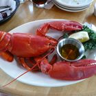 Nirgendswo auf der Welt schmecken Lobster besser als im US-Staat Maine (??).