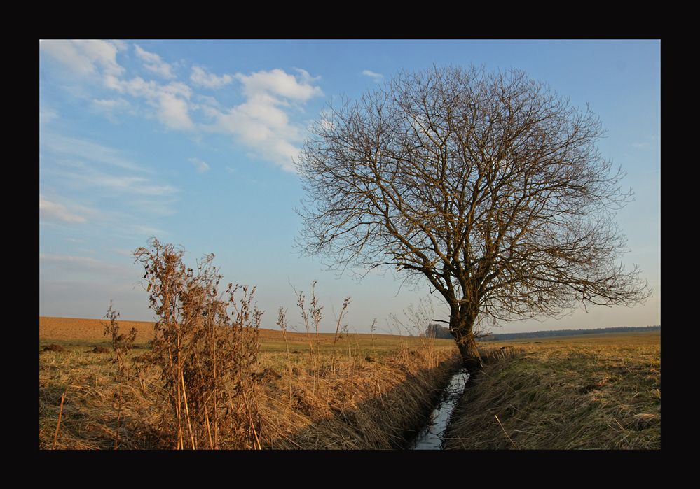 nirgendwo auf der Alb III