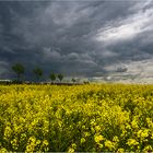 Nirgendwo strahlt der Himmel schöner...