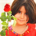 Nisrin - die wilde Rose (persisch/kurdisch)