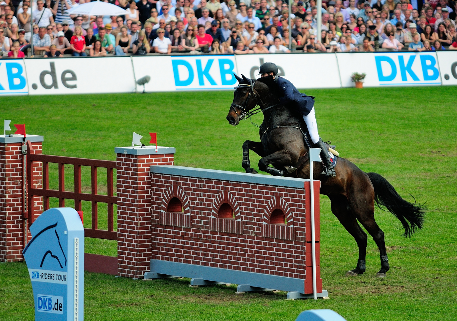 Nisse Lüneburg - Das letzte Hindernis und der Sprung ins Glück - Derby Sieger 2012