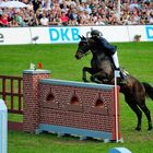 Nisse Lüneburg - Das letzte Hindernis und der Sprung ins Glück - Derby Sieger 2012