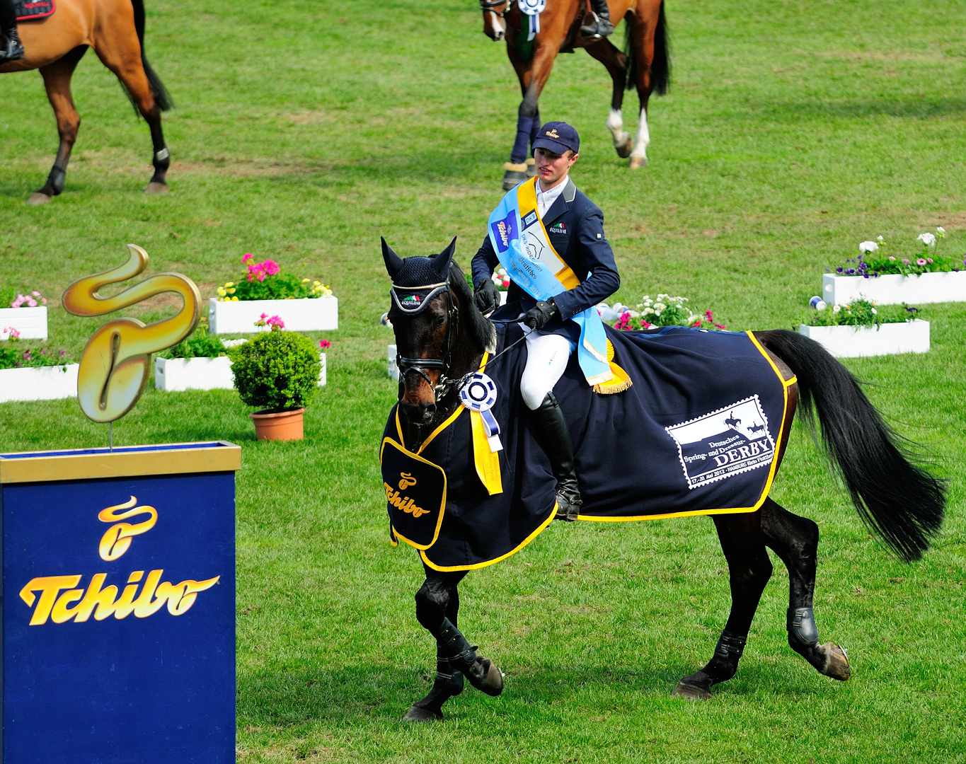 Nisse Lüneburg - Sieger Deutsches Spring- und Dressur-Derby 2012