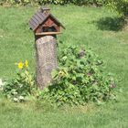 Nistbaum von mehreren Holzbienen