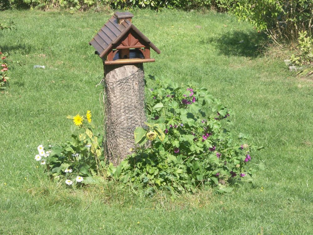 Nistbaum von mehreren Holzbienen