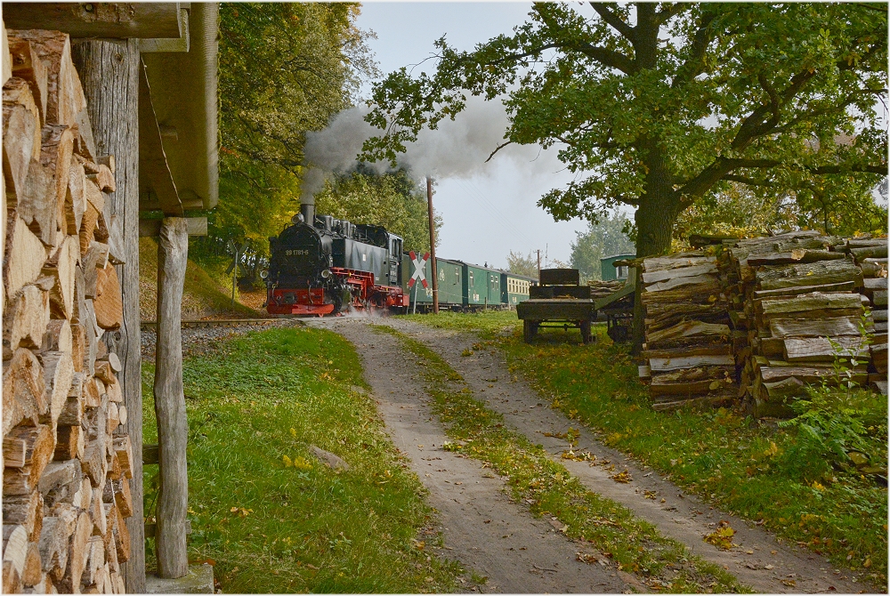 Nistelitz mit Holz vor der Hütten