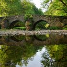 Nisterbrücke bei Marienstatt