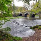 Nisterbrücke bei Marienstatt