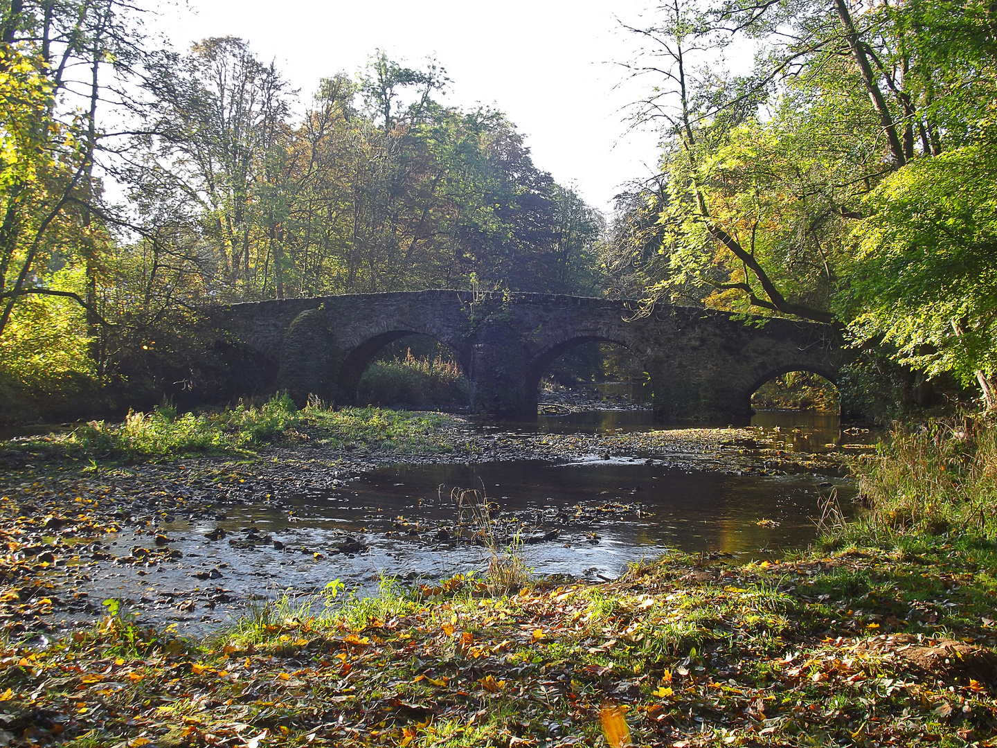 Nisterbrücke im Herbst