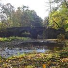 Nisterbrücke im Herbst