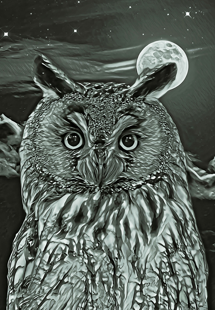 Nite Owl