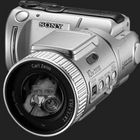 User Profile Photo
