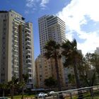 NITZA COAST BOULEVARD -NETANYA