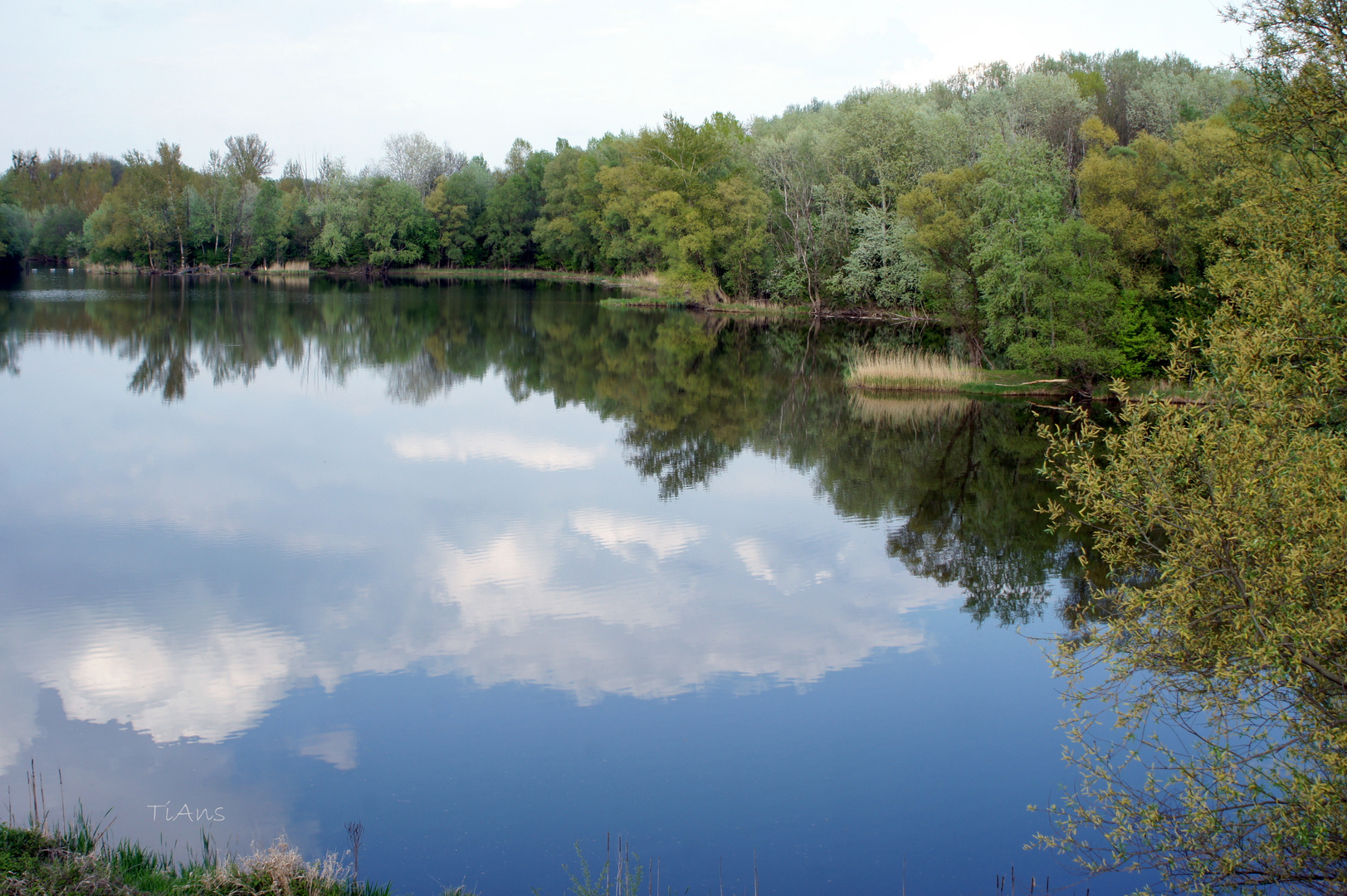 niveau du lac