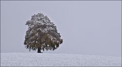 nix besonderes im allgäu...