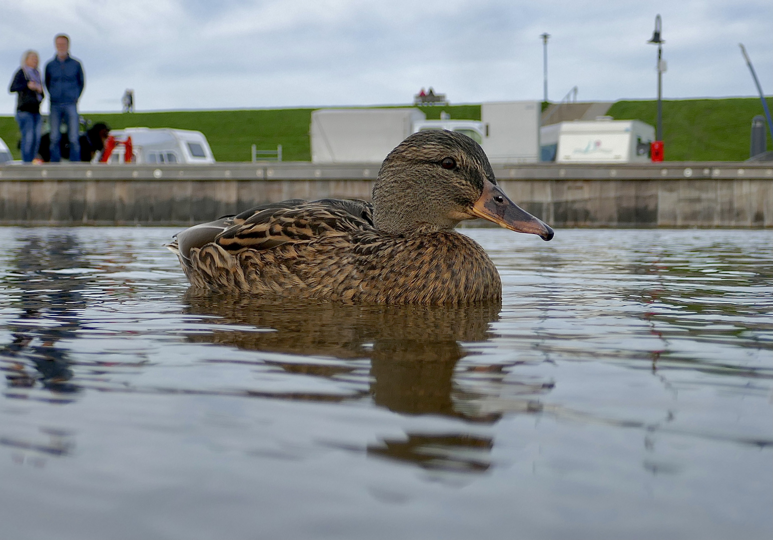 Nix für die Badewanne…