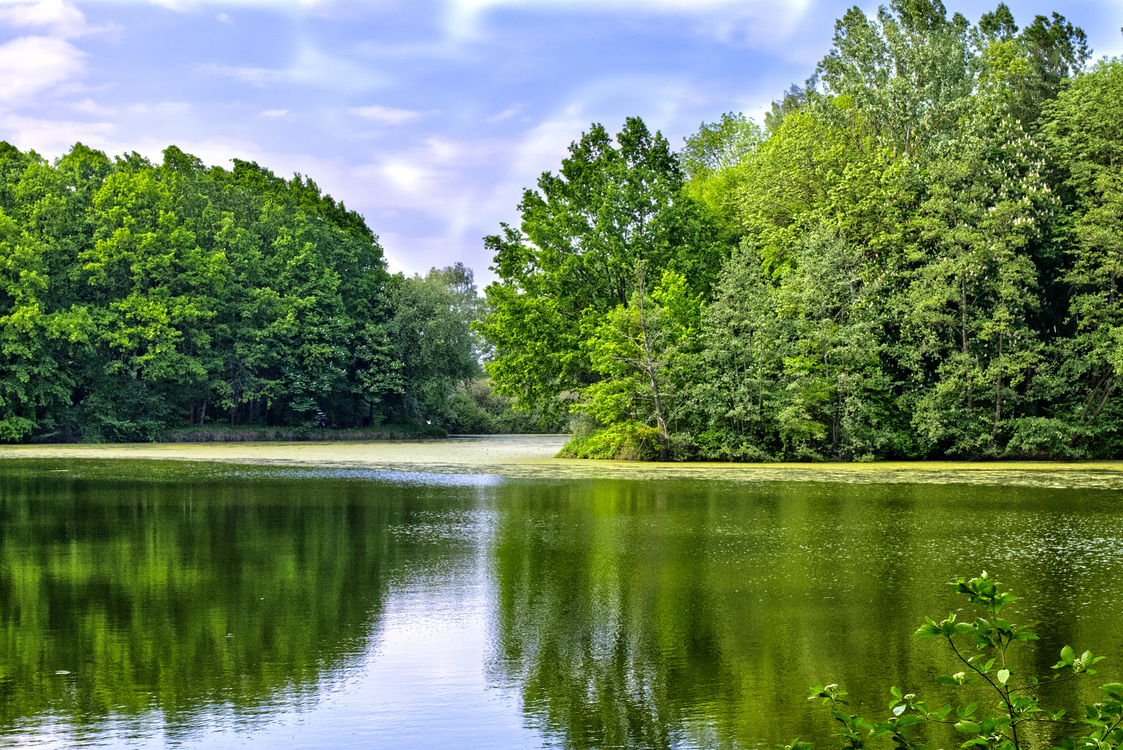 nix los am Teich