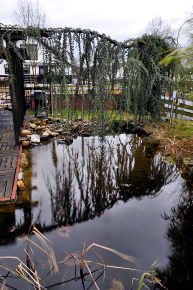 Nix mehr los am Gartenteich