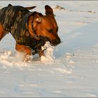 nix mehr Pulverschnee