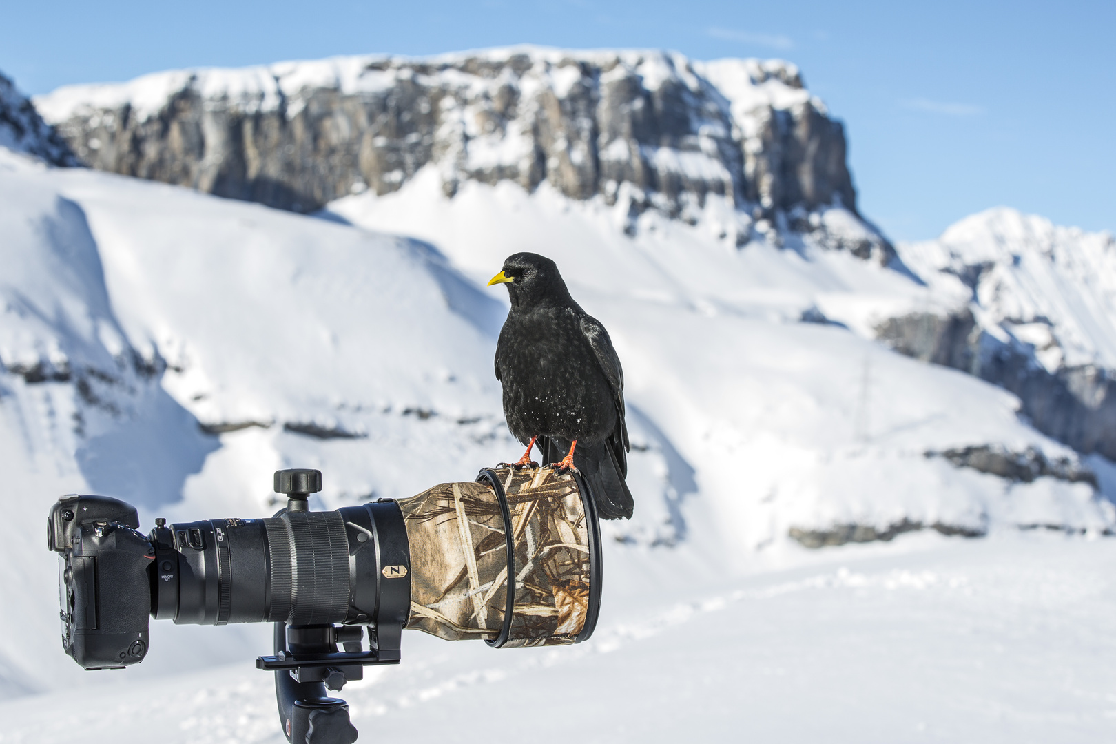 Nix mit Fotografieren hier.