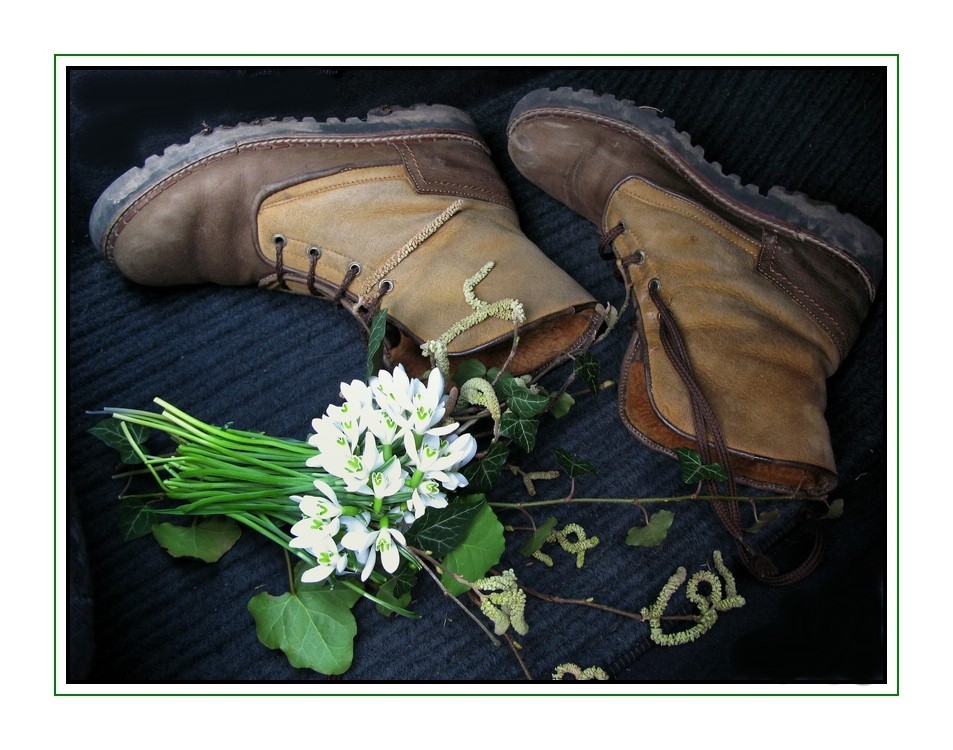 Nix mit Frühlings-Wandern-Waldspaziergang