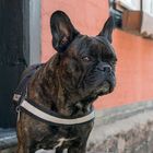 User Profile Photo