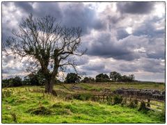 Nix, nur Landschaft in Cumbrien