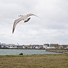 ...nix schöneres als Fliegen!