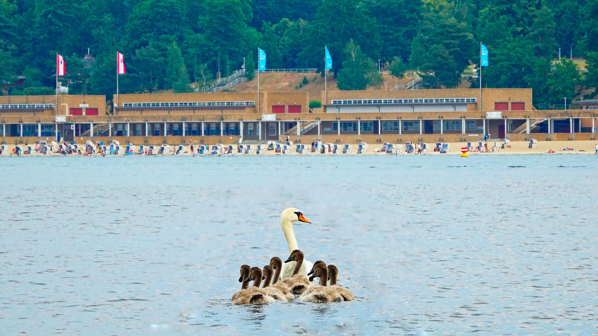 nix wie raus zum Strandbad Wannsee!