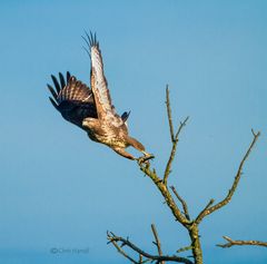 Nix wie weg hier! 