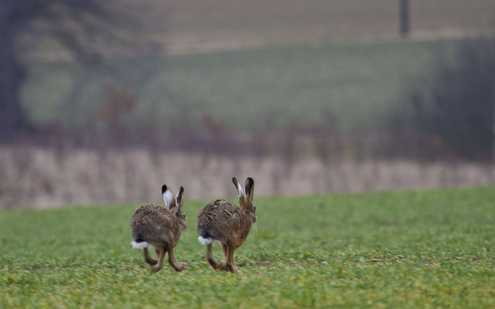 Nix wie weg. I