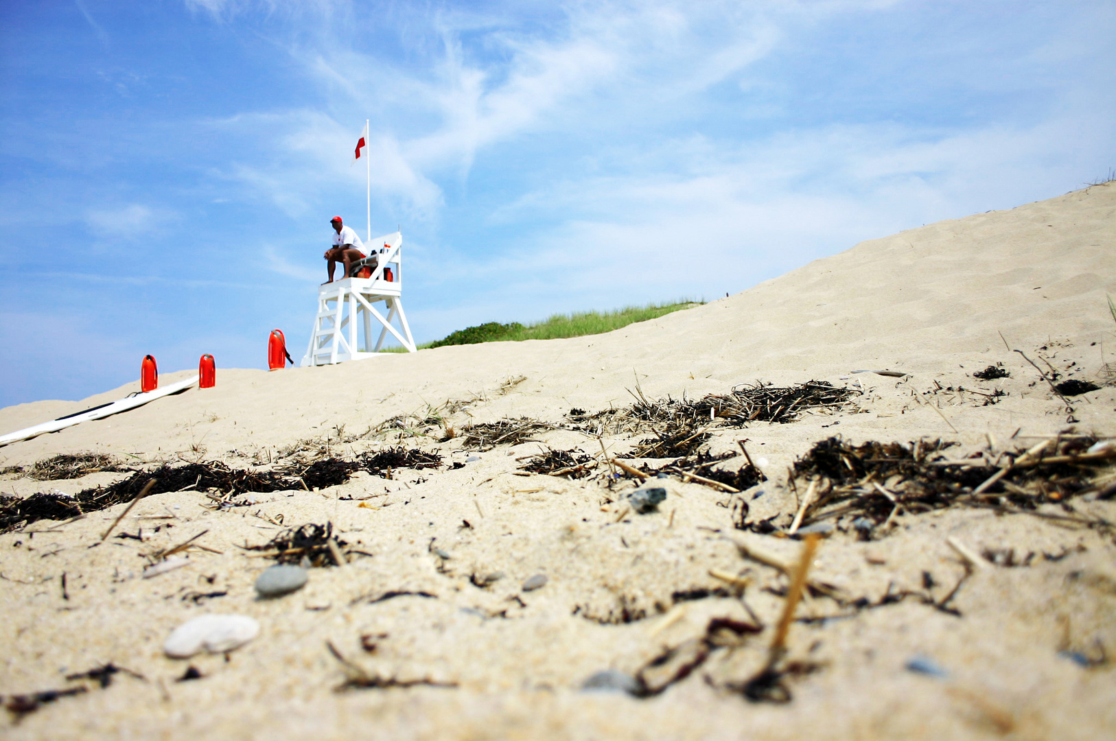 Nix zu tun für ihn auf Cape Cod