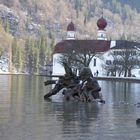 nixe am königssee