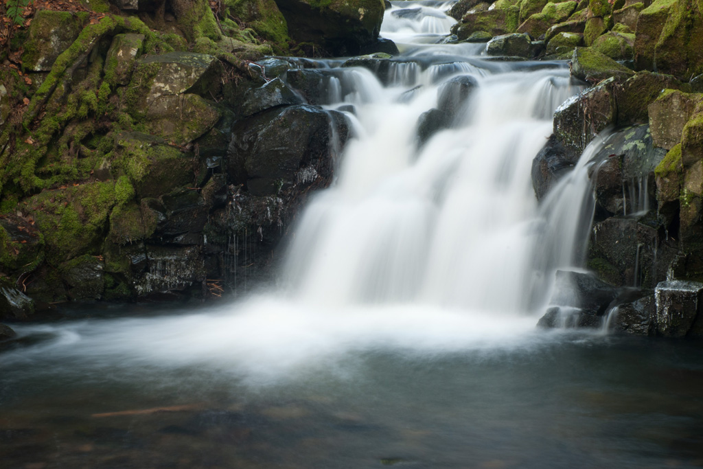 Nixenteich Rhön