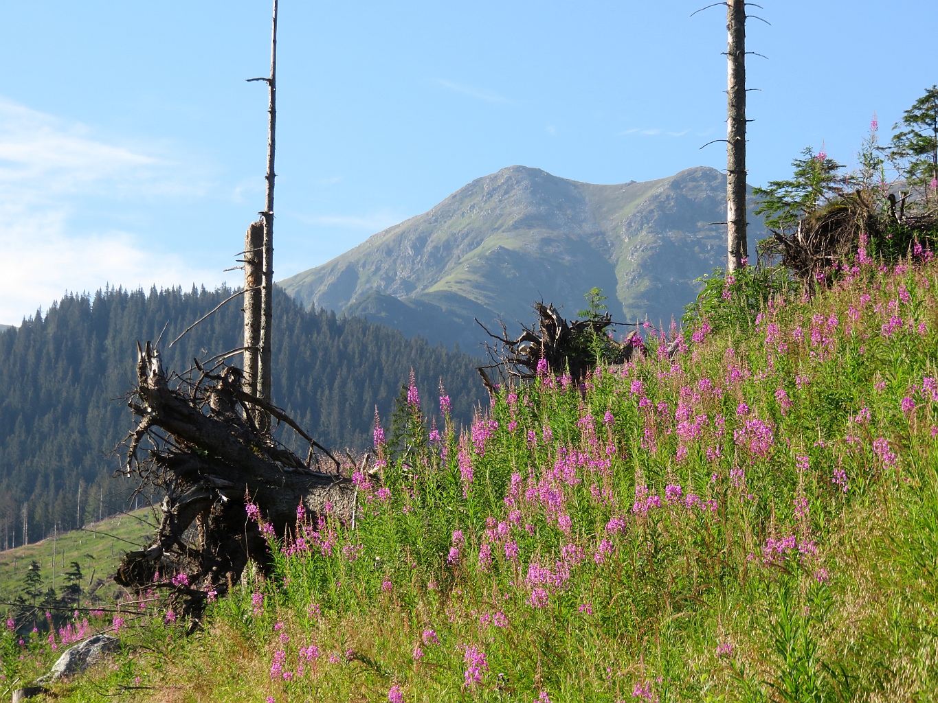 Nizke Tatry