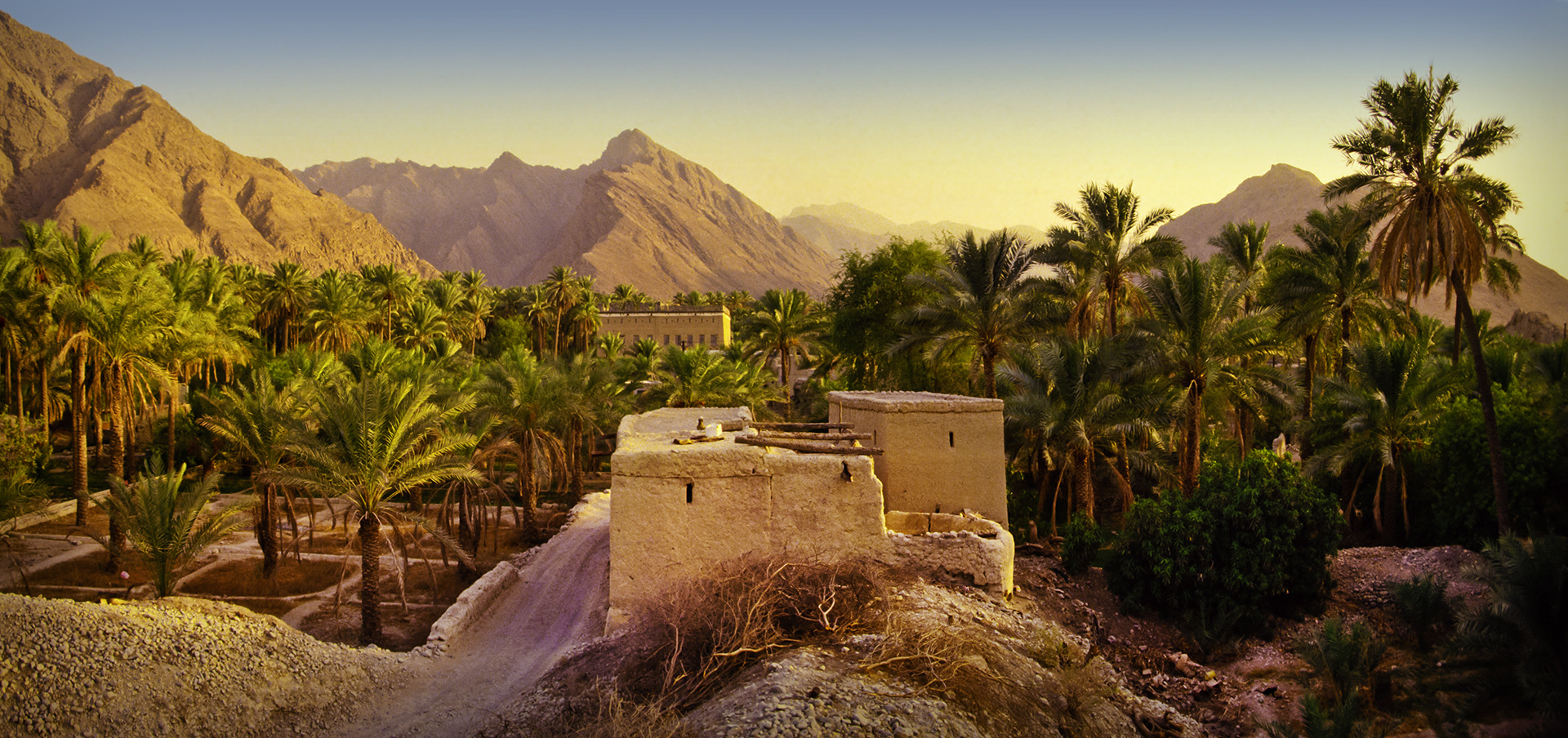 Nizwa Oasis