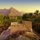 Nizwa Oasis